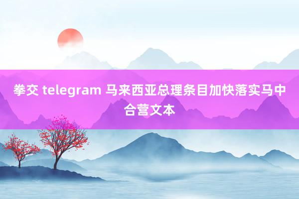拳交 telegram 马来西亚总理条目加快落实马中合营文本