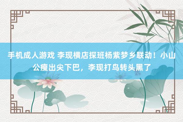 手机成人游戏 李现横店探班杨紫梦乡联动！小山公瘦出尖下巴，李现打鸟转头黑了