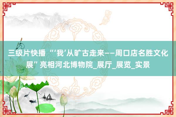三级片快播 “‘我’从旷古走来——周口店名胜文化展”亮相河北博物院_展厅_展览_实景