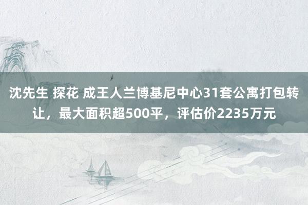 沈先生 探花 成王人兰博基尼中心31套公寓打包转让，最大面积超500平，评估价2235万元
