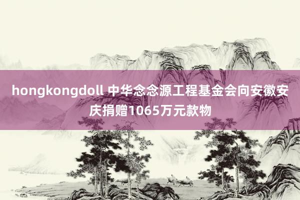 hongkongdoll 中华念念源工程基金会向安徽安庆捐赠1065万元款物
